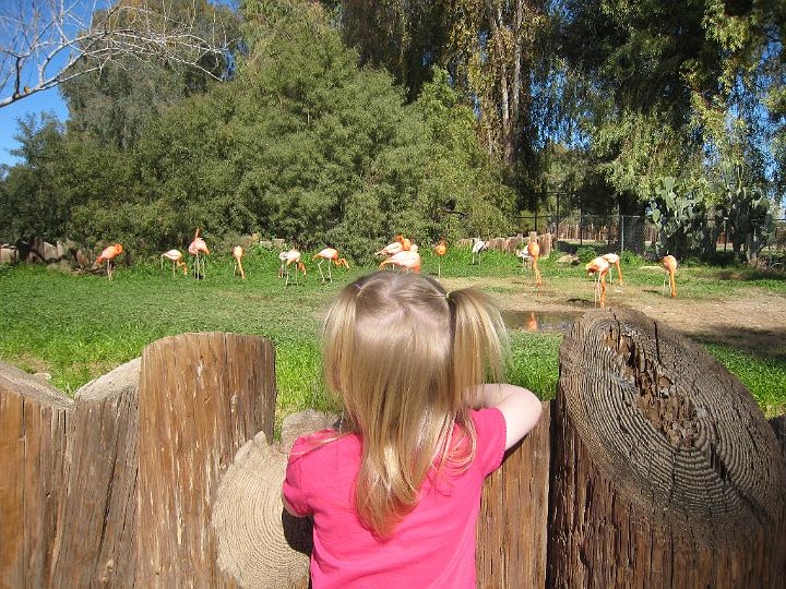 2nd Birthday at the zoo 36.JPG